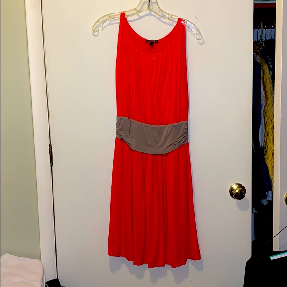 Red dress from express